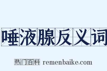 唾液腺反义词是什么意思的图片
